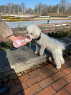 2-in-1 Portable Pet Water & Food Bottle