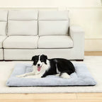 Cozy Plush Dog Beds: The Ultimate Soft Sleeping Sofa for Your Furry Friend