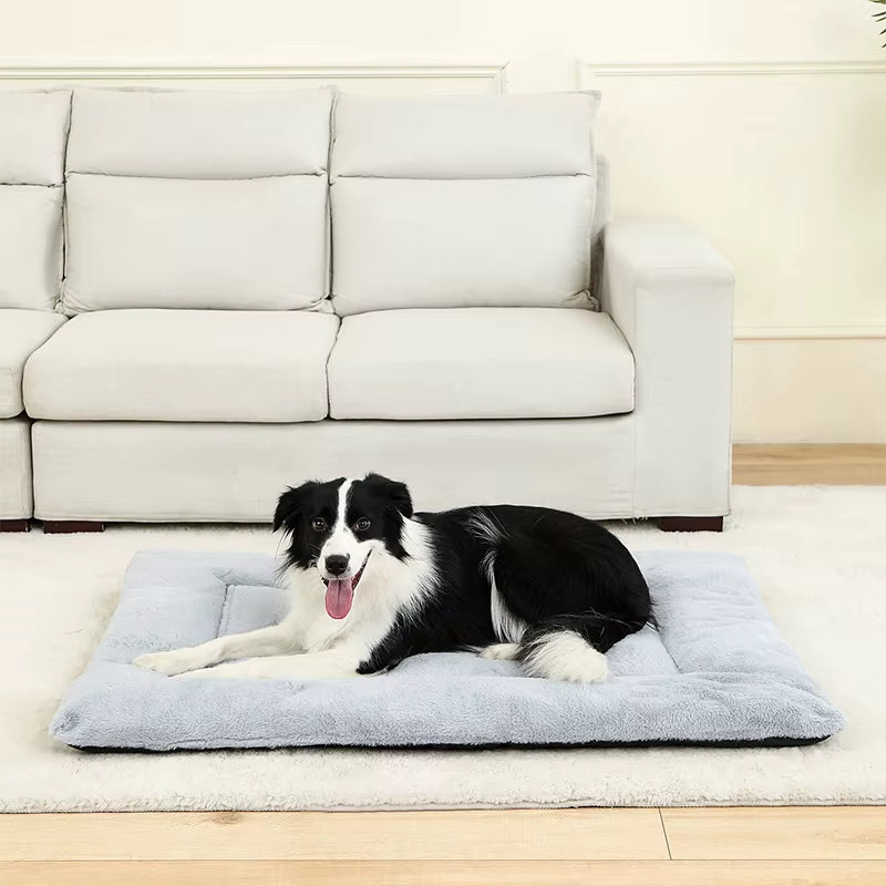 Cozy Plush Dog Beds: The Ultimate Soft Sleeping Sofa for Your Furry Friend