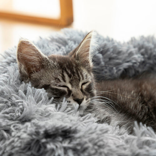 Anti-Stress Pet Bed | Calming Round Dog & Cat Bed