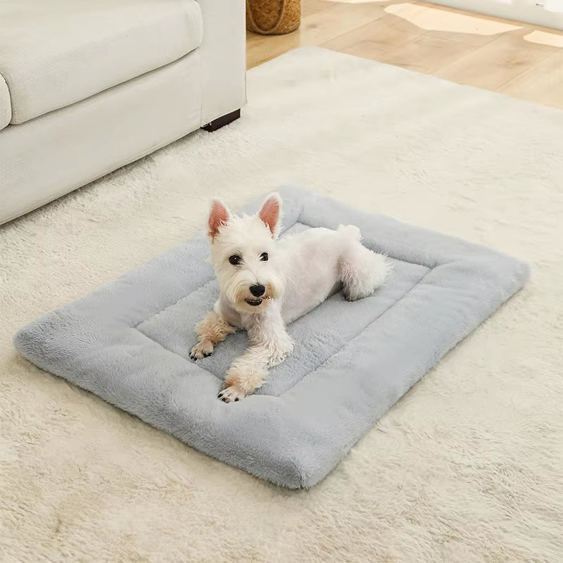 Cozy Plush Dog Beds: The Ultimate Soft Sleeping Sofa for Your Furry Friend