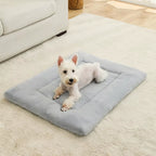 Cozy Plush Dog Beds: The Ultimate Soft Sleeping Sofa for Your Furry Friend