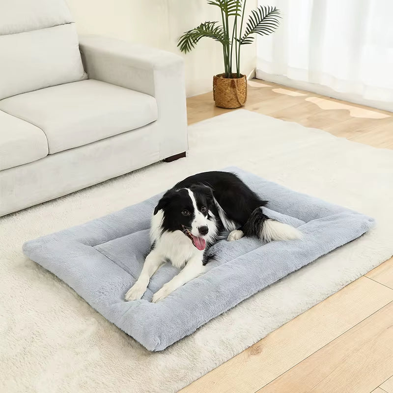 Cozy Plush Dog Beds: The Ultimate Soft Sleeping Sofa for Your Furry Friend